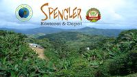 Spengler Guatemala Gold Premiert